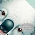 thumbnail image 3 of Koala Translucent Chiffon Silk Scarf Light Breathable Head Wrap 180x73 (70.86x28.7in) Casual Accessory, 3 of 6