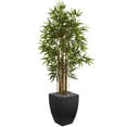 thumbnail image 1 of 5 ft. Bamboo Artificial Tree in Black Wash Planter, 1 of 1