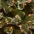 thumbnail image 4 of National Tree Company 7.5 ft. Pre-Lit Artificial Slim Christmas Tree, Green, Glittery Pine, Pine Cones, 500 Clear Lights, Includes Stand, 4 of 4