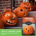 thumbnail image 6 of 5 Packs Jack-O-Lantern Pumpkin Seed - Non-GMO Heirloom Full Sun Annual Vegetable, 6 of 9
