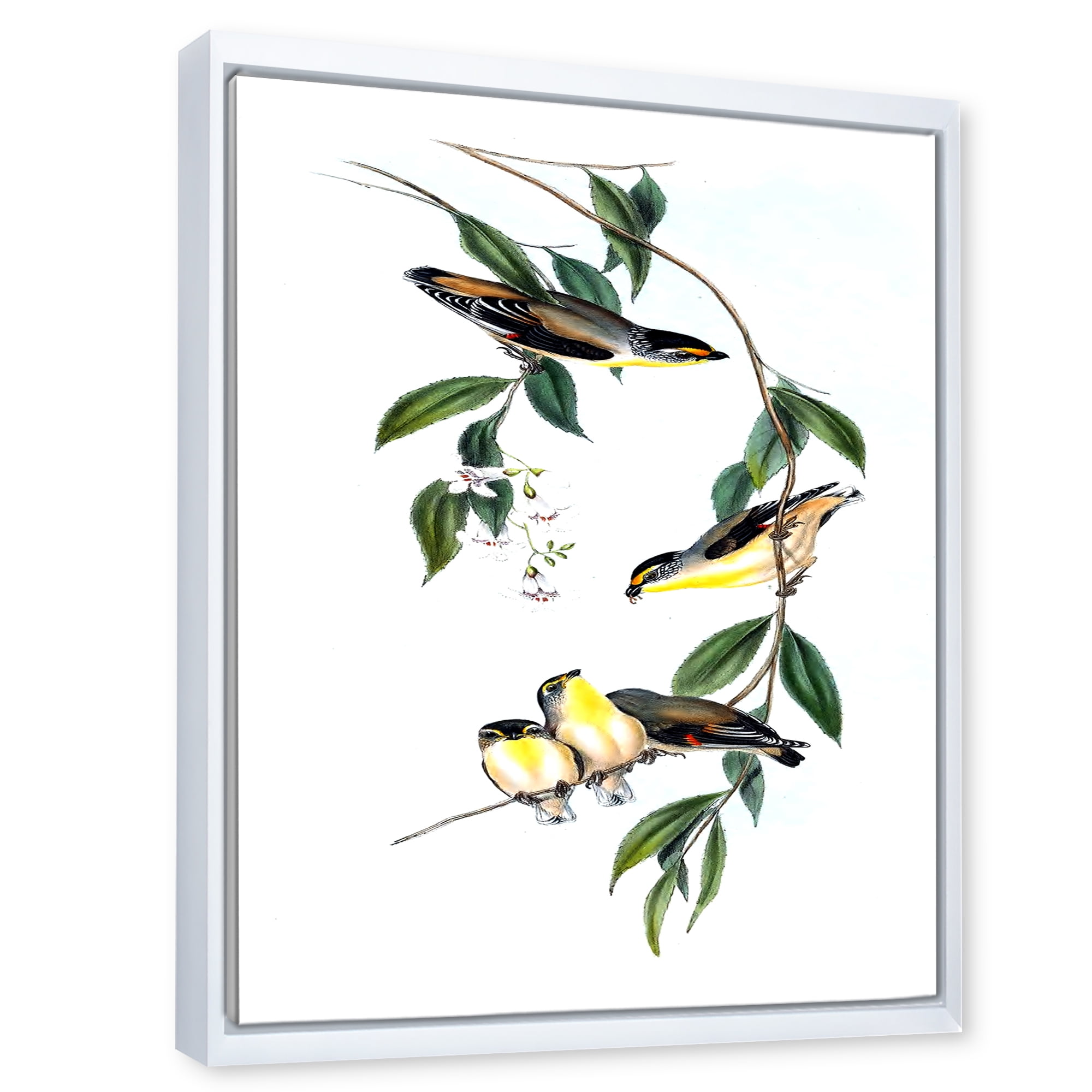 Designart 'Ancient Bird III' Traditional Framed Canvas Wall Art Print