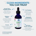 thumbnail image 4 of 1Q Solutions Immune - Vitamin C & Zinc Liquid Drops for Toddlers & Kids, with Elderberry Extract, Turmeric & Vitamin D3 for Immune Support & Overall Health - Sugar-Free, Vegan, Gluten-Free,, 4 of 10