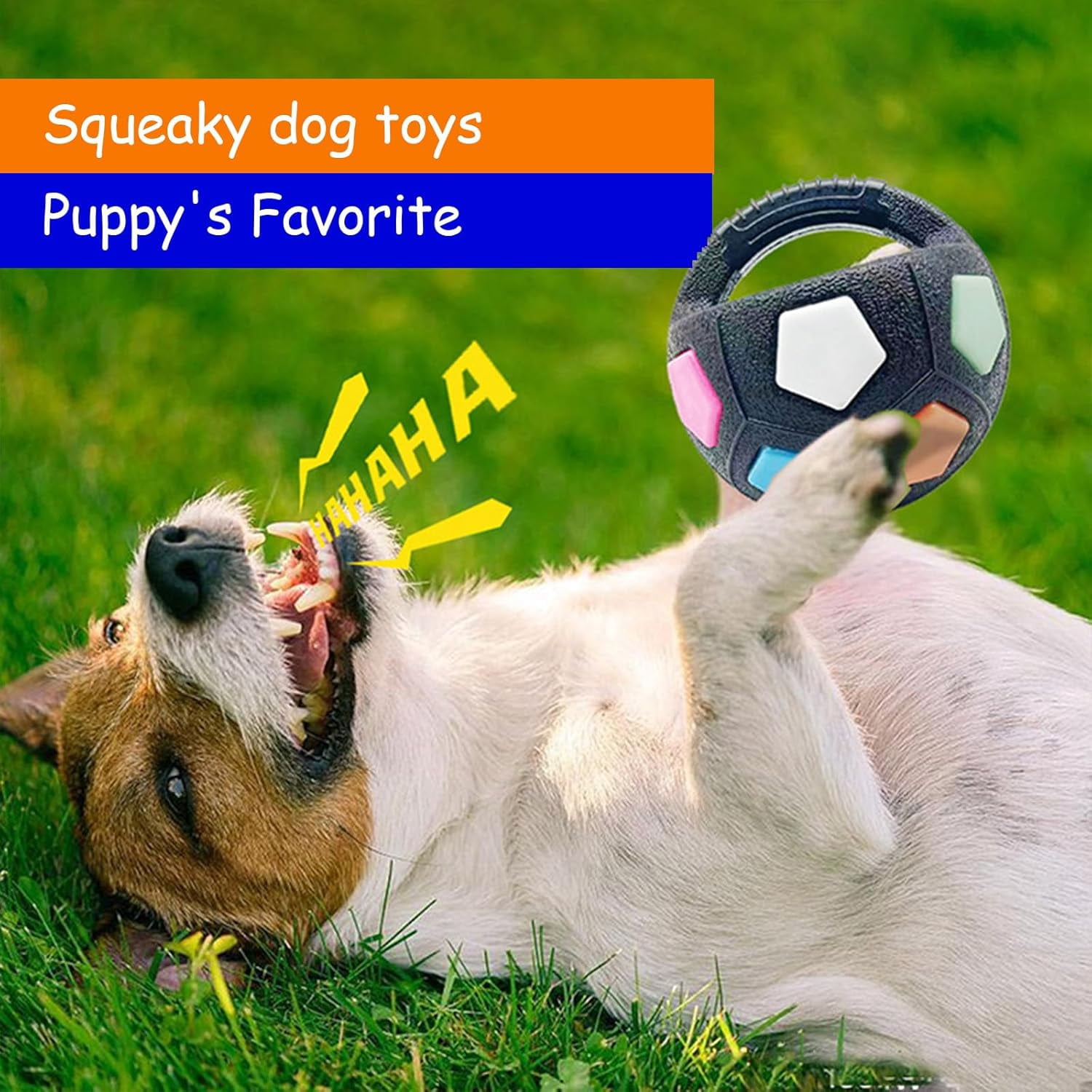 The Calming Ball with Handle, Interactive Toss and Fetch Play, Rubber Material, Squeaky Floating Balls, Chew Toys, Suitable for Dogs