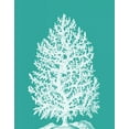 thumbnail image 2 of Fab Funky 12x14 White Modern Wood Framed Museum Art Print Titled - Coral Tree White on Turquoise, 2 of 4