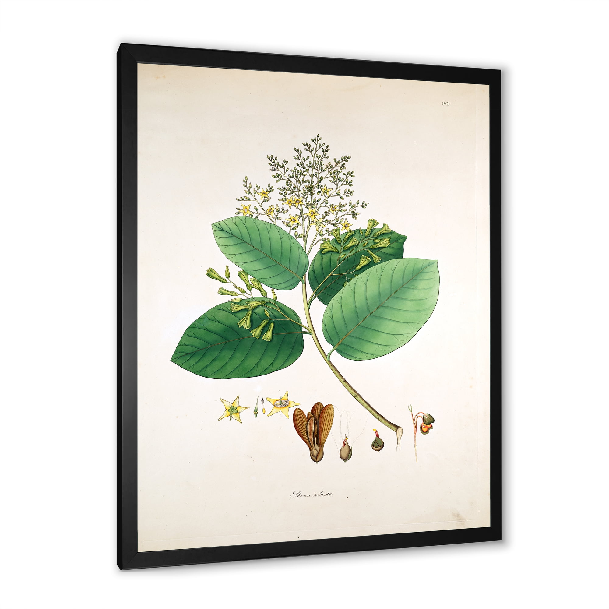 Designart 'Ancient Botanicals III' Farmhouse Framed Art Print
