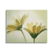 Stupell Industries Two Daisies Painting Botanical & Floral Painting Gallery Wrapped Canvas Art Print Wall Art, 20 x 16