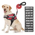 thumbnail image 1 of Chaleco Para Perros De Servicio, Arnes Reflectante Para P..., 1 of 8