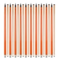 thumbnail image 1 of ASKA L3 Lot de 10 Pointes de Billard Orange pour Piscine, Érable Canadien de 58 Pouces, Pointe Rigide de 13 mm, Poids Mixtes, 1 of 5