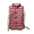 thumbnail image 3 of DBAIXID Women’s Packable Puffer Vest Sleeveless Lightweight Hooded Full Zip Warm Winter Puffy Vest Jacket Coat 2024 Pink 3XL, 3 of 4