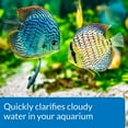thumbnail image 4 of API Accu-Clear Clears Cloudy Aquarium Water, 4 of 5