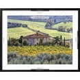 thumbnail image 5 of Art.com Italy, Tuscany. Vineyards and Olive Trees in Autumn by a House Photographic Print by Julie Eggers, Black Frame Wall Art, 29" x 23", 5 of 5