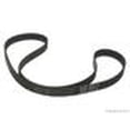 thumbnail image 1 of Banda Tiempo Cloyes Para Acura Cl 1994 - 2003 (Cloyes), 1 of 2