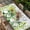 Green, variant on Spring Leaves Table Cloths for 4 Foot Rectangle Tables, Pastoral Garden Botanical Gray Wooden Patio Waterproof Elastic Fitted Tablecloths, Washable Rectangular Table Cover for Camping