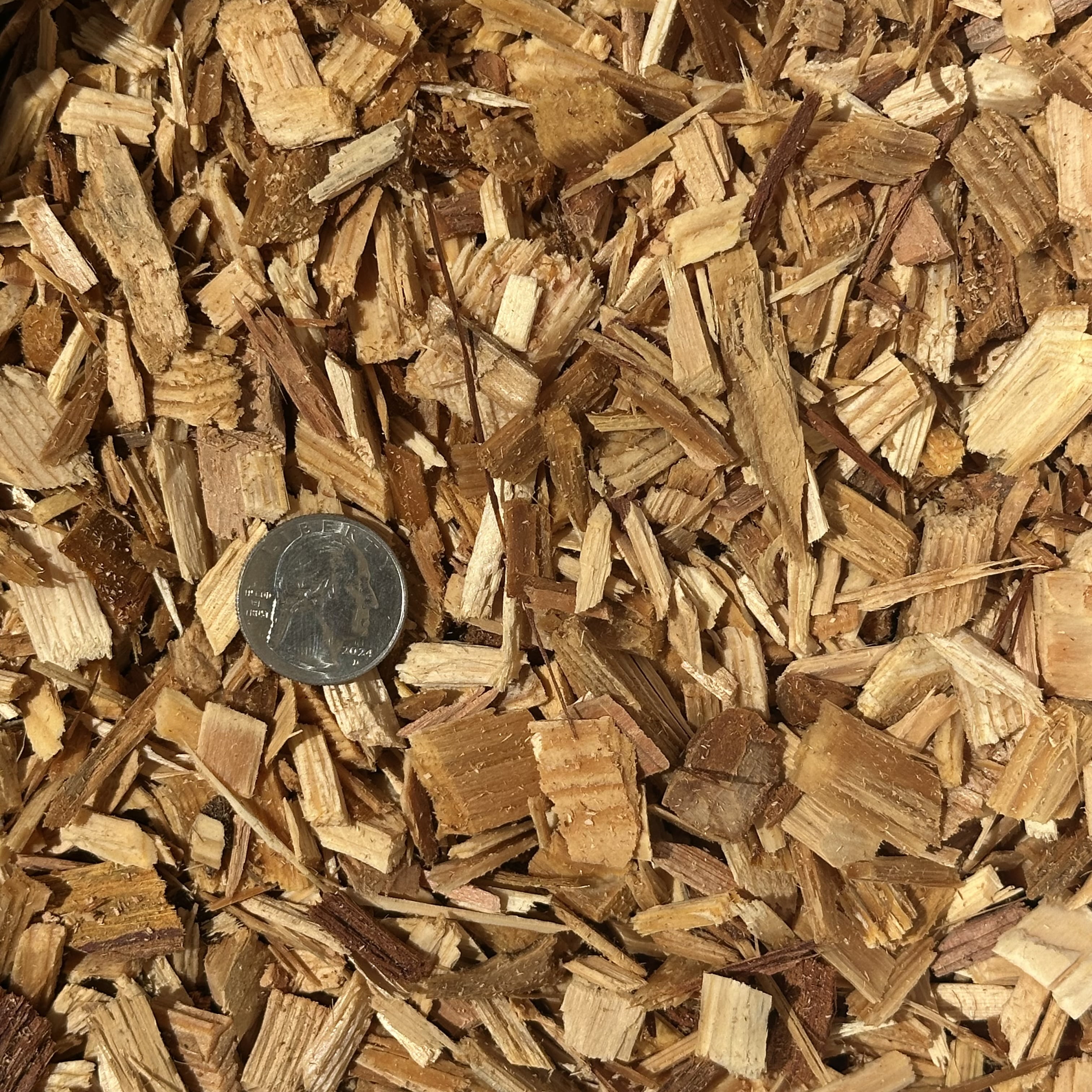 Fresh Natural Pine Wood Chips Shavings Mulch Garden Bark, (34QT). Use for No Splinter Kids Playground, Animal Enclosures, Livestock Pet Bedding, Landscaping Beds Pots, Decorative Walkways