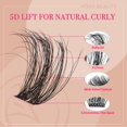 thumbnail image 3 of Kit Lash Clusters CCODDY Diva D Curl con Bond & Seal, 432 unidades, 3 of 6