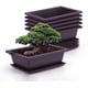 thumbnail image 1 of Juego de 6 macetas de entrenamiento para bonsái con bandeja, maceta cuadrada de plástico, maceta para plantas suculentas para jardín, sala de estar esquí esquí Gafas de esquí, 1 of 5
