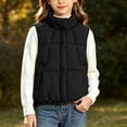 thumbnail image 5 of StSilkitty Puffer Vest for Boys Girls Full Zip up Sleeveless Stand Collar Jacket Coat Winter Warm Outerwear with Pockets, 5 of 9
