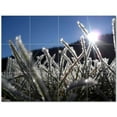 thumbnail image 1 of Winter Picture Ceramic Tile Mural Kitchen Backsplash Bathroom Shower 406427-M43, 1 of 3