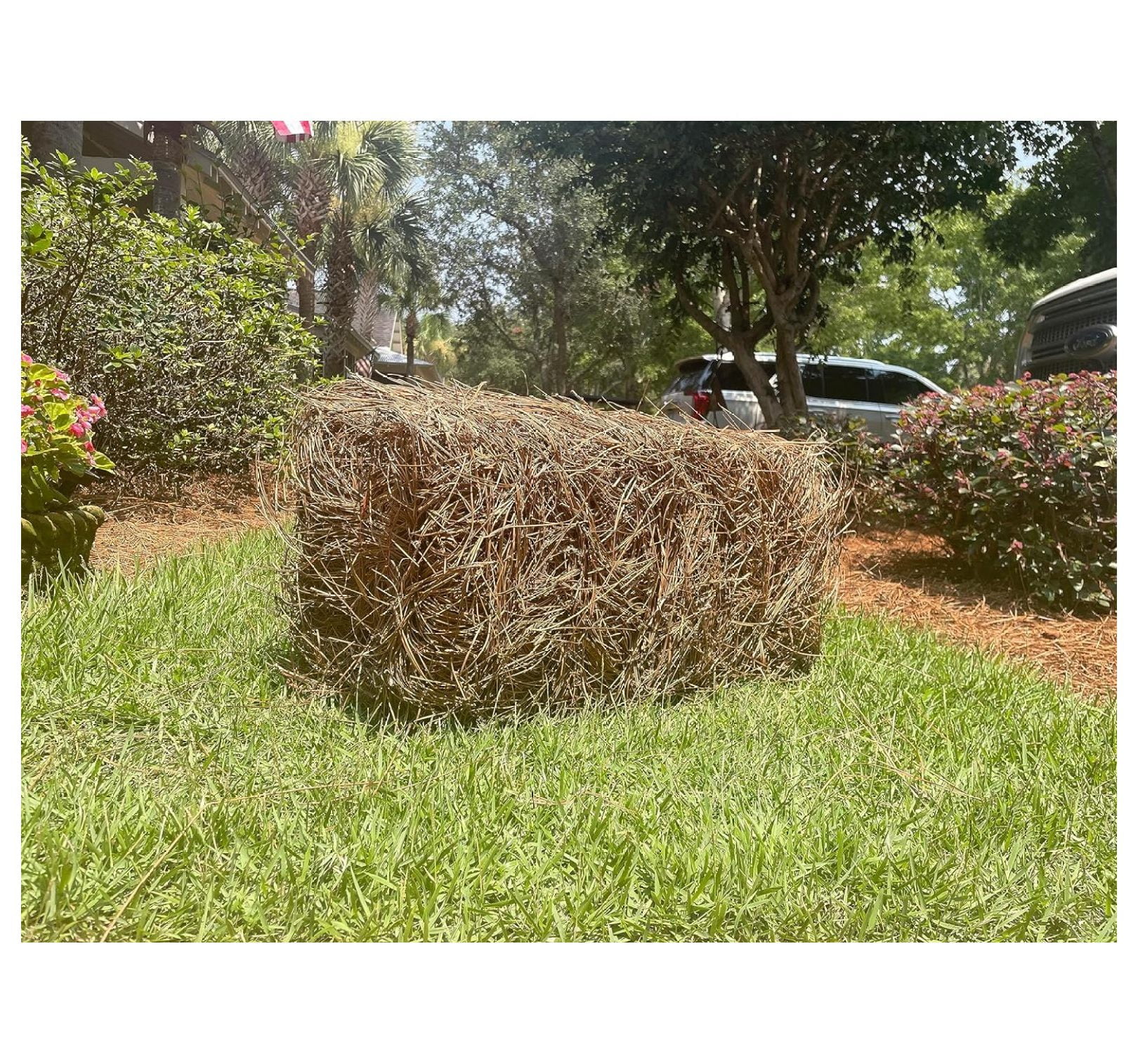 Premium Square Pine Straw Bale: Easy to Spread & Handle | Good Quality Long Needles | 65-70 Sq. Ft. Coverage | Ideal for Gardening, Landscaping, & Decoration