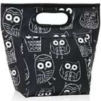 thirty one owl lunch bag