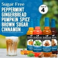 thumbnail image 2 of Syruvia Sugar-Free Holiday Variety Pack Peppermint, Gingerbread, Pumpkin Spice & Brown Sugar Cinnamon Coffee Syrup (4-Pack), 2 of 8