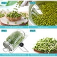 thumbnail image 6 of Sprout Glass Germination Glass 1000ml Made of High-Quality Stainless Steel Drip Tray, Stand and Lid for Sprout Growing Sprouts Germinator Germination Glass for Sprouts", 6 of 18
