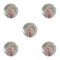 thumbnail image 3 of Baohd Exquisite Flower Crystal Ball Adding Elegance To Space Easily Portable Daisy red 7cm 5Set, 3 of 6
