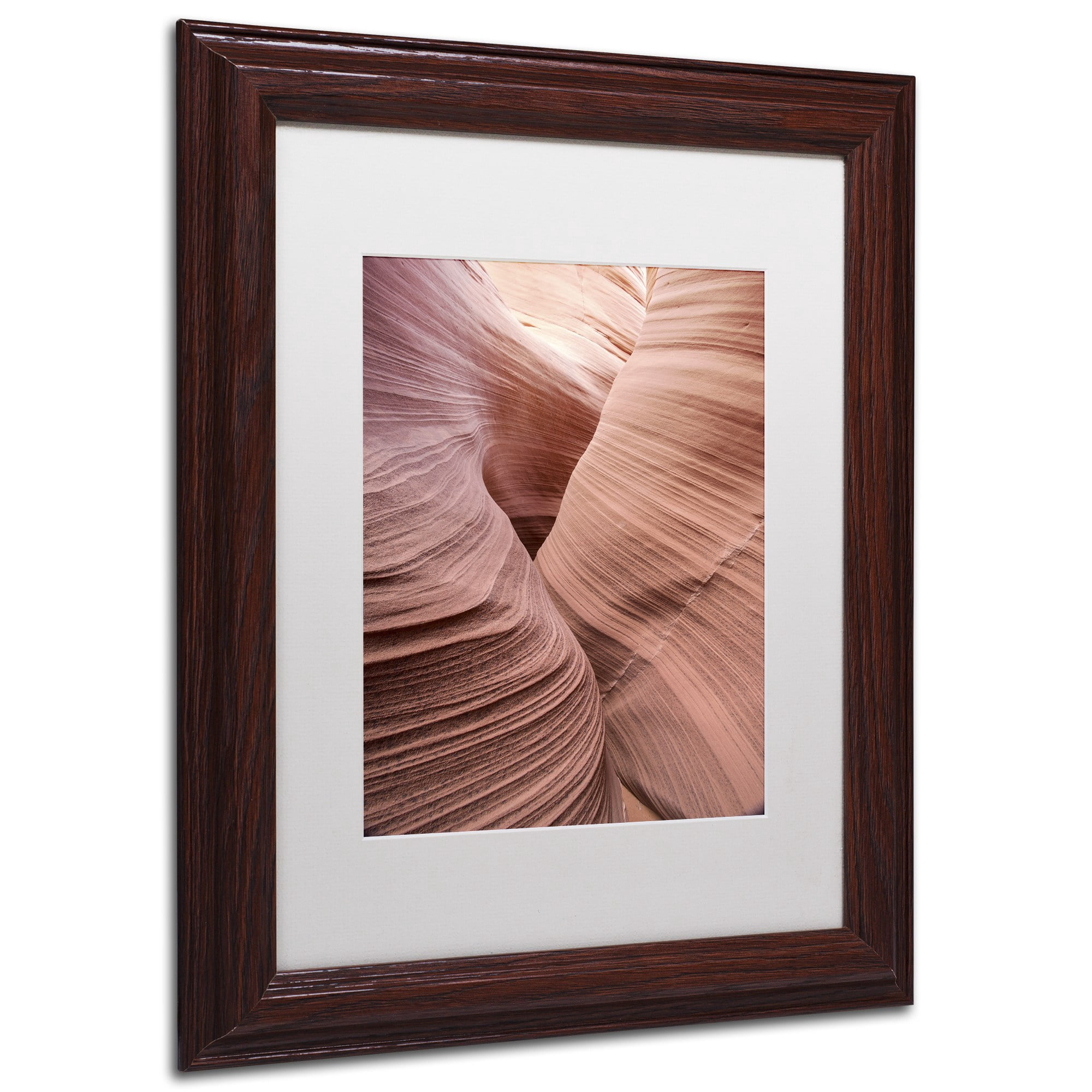 Trademark Fine Art "Spiral V" Canvas Art by Moises Levy White Matte, Wood Frame