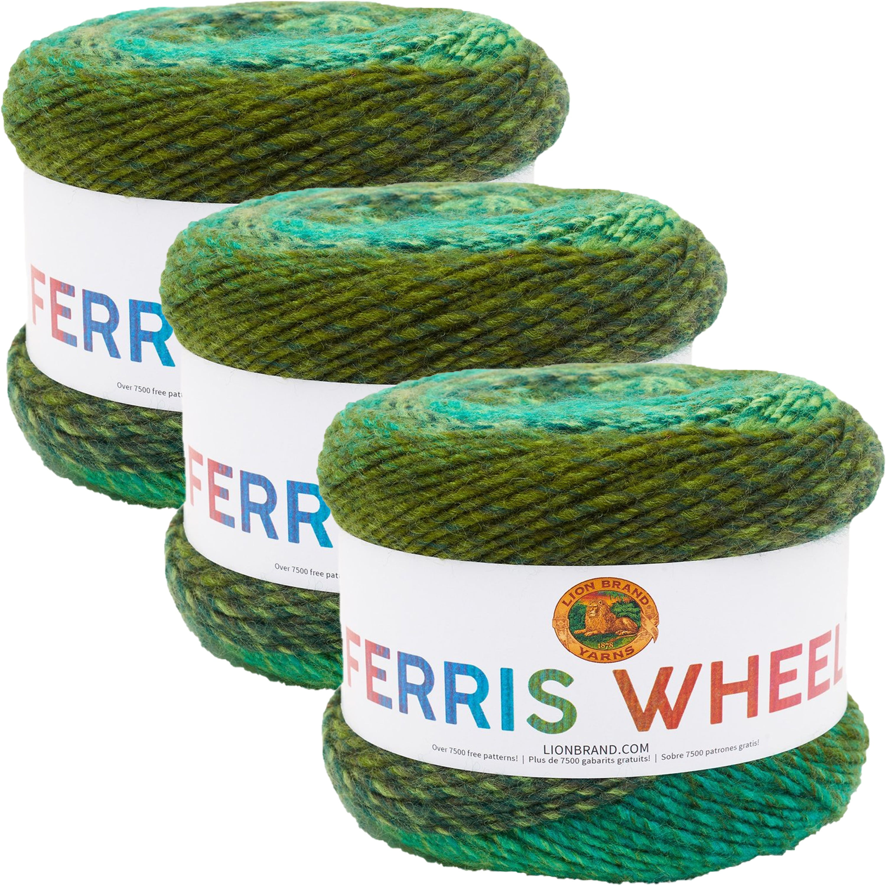 (3 Pack) Lion Brand Ferris Wheel Yarn Evergreen