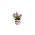 thumbnail image 2 of Luxcidy Mini Simulated Pinks Potted Flower Home Decoration, Artificial Green Plants Photography Prop Fake Plants, Desktop Silk Flower Arrangement for Office (B), 2 of 6