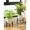 thumbnail image 2 of Adjustable Plant Stand Fits Plant Pot Metal Planter Stand Easy Assembly Expandable Plant Shelves Furniture, 2 of 10
