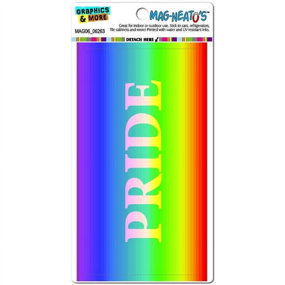 Rainbow Spectrum Pride Gay Lesbian Automotive Car Refrigerator Locker Vinyl Magnet