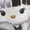 Sand, variant on Cruella De Vil Hello Kitty Halloween Cosplay T-Shirt, Cute Fall Shirt, Spooky Season Shirt, Cruella de Vil