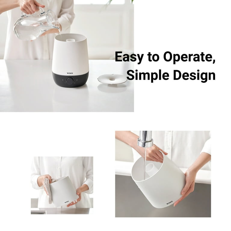Winix 2024 google home
