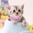 thumbnail image 4 of FESTFENDS 6Ud Collar Delicado Para Con Ideal Para Uso Diario Y Fiestas, 4 of 6