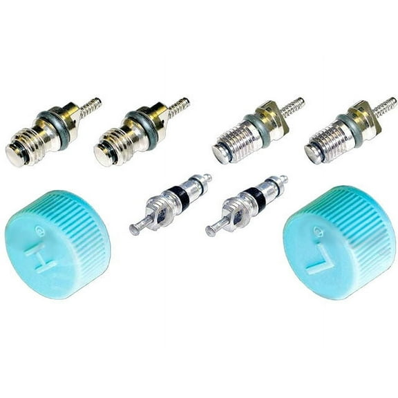 A/C System Valve Core and Cap Kit - Compatible with 1995 - 2002, 2005 - 2013 Kia Sportage 1996 1997 1998 1999 2000 2001 2006 2007 2008 2009 2010 2011 2012