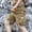 Brown, variant on Men's 100% Cotton Cargo Shorts Workwear Multi Pocket Shorts Elastic Belt Relaxed Fit Casual Summer Hiking Shorts Big and Tall Size XS-3XL Khaki