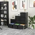 SUNCROWN 2 Drawer File with Lock, Black,Metal Filing