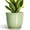 Green, variant on Ordivic 6 inch Blue Glaze Ceramic Plant Pot with Drainage Hole & Saucer, Small Decorative Flower Pots for Succulents & Herbs, Home Decor