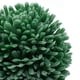 thumbnail image 4 of planta artificial decorativa con maceta blanca de cerámica, 4 of 5