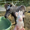 thumbnail image 4 of Felt Finger Puppet - Pastel Unicorn, 4 of 6