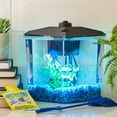 Aqua Culture 1Gallon Plastic Aquarium Starter Kit