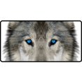 thumbnail image 1 of Lone Wolf Plaque d'Immatriculation Photo Yeux Bleus, 1 of 1
