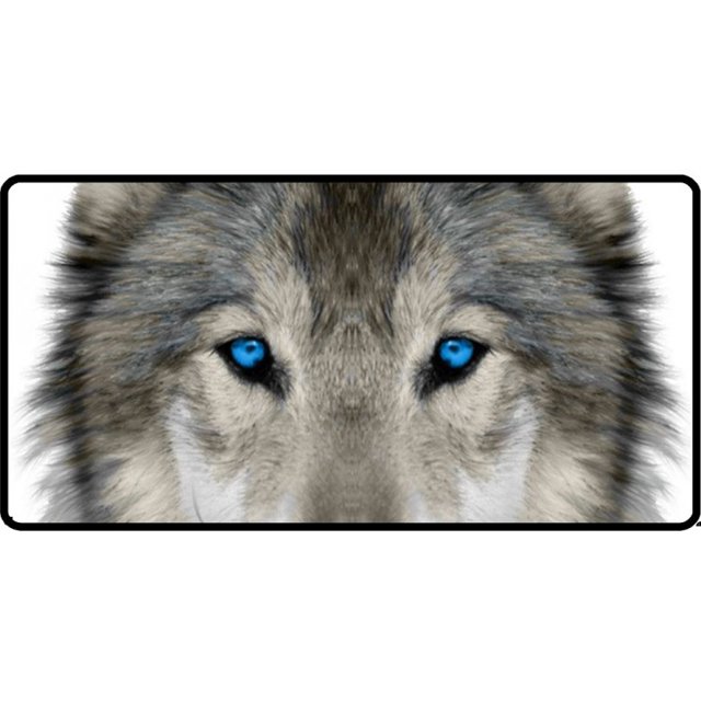 Lone Wolf Plaque d'Immatriculation Photo Yeux Bleus