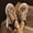 Black Wedge Shoes for Women, variant on Women's Beaded Floral Wedge Thong Sandals, Braided Platform Slingback Summer Bohemian Casual Shoes Beige 36