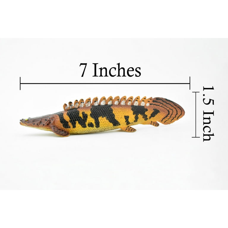Fish, Bowfin Fish, Barred Bichir, Museum Quality, Hand Painted, Rubber Fish, Realistic Toy Figure, Model, Replica, Kids, Educational, Gift, 7 Fish, Bowfin Fish, Barred Bichir, Museum Quality, Hand Painted, Rubber Fish, Realistic Toy Figure, Model, Replica, Kids, Educational, Gift, 7