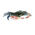 thumbnail image 3 of Lifelike Maryland Blue Crab Nautical Plaque Wall Mount Tiki Bar Beach House Coastal Home Decor, 3 of 4