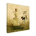 thumbnail image 2 of Trademark Fine Art 'Olive Oil Branches 1' Canvas Art by Pablo Esteban, 2 of 3