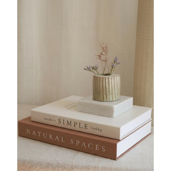 Beautiful Decorative Books - Set of 2 Boxes Enhance Your Coffee Table, Bookshelf or Mantel Shelf Decor - Aesthetic Fake/Faux Books for Modern Home Decoration, Photo Storage and as a Keepsake Box