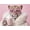 White, variant on Mudket Leopard on Hot Pink Sofa with Disco Balls Canvas Wall Art, Trendy Glam Party Wall Prints Waterproof Canvas for Living Room Apartment Home Decor , Framed Ready to Hang - 12"L x 8"W